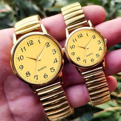 Simple Alloy Spring Elastic Steel Band Quartz Watch Large Number Watch