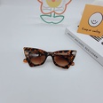 cat eye wave leg sunglasses retro ocean film sunglasses fashion triangle sunglassespicture12