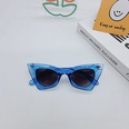 cat eye wave leg sunglasses retro ocean film sunglasses fashion triangle sunglassespicture16