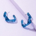 Klein blue geometric earrings Korean new alloy earrings wholesalepicture11
