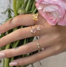 Neu Open Joint Ring Butterfly Ring Set 5teiliges Set Retro Crystal Ringpicture1