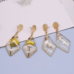 retro gold foil resin geometric dried flower earrings