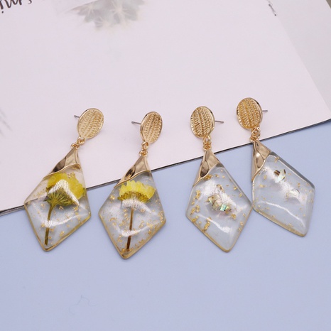 retro gold foil resin geometric dried flower earrings  NHGO570099's discount tags
