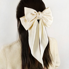 Fashion bow hairpin Korean double large clip fashion hairpin