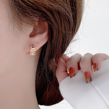 Leaf zircon earrings 2021 new trendy fashion copper earrings wholesale's discount tags
