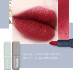 Morandi color matte lipstick set autumn and winter ruby red caramel brown white lipstick set