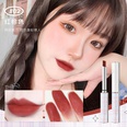 Fashion lipstick velvet soft focus matte rich color lipstickpicture14