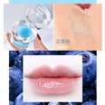 Fashion Nourishing Lip Mask Moisturizing Moisturizing Lip Care Lip Balm Wholesalepicture14