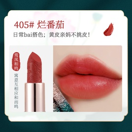 Fashion velvet matte foggy lip gloss lipstickpicture14