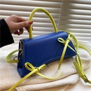 Niche design small bag female 2021 autumn and winter new trendy handbagpicture12