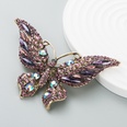Rtro nouveau cristal strass papillon broche mode animal insecte dame brochepicture22