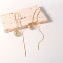 female long tassel rose flower zircon crystal earrings light luxury earringspicture11