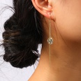 female long tassel rose flower zircon crystal earrings light luxury earringspicture13