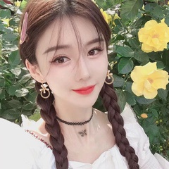 Korea new circle flower earrings long copper earrings
