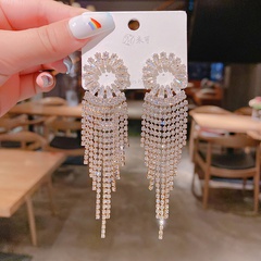 tassel earrings Korean exaggerated fashion full of zircon earrings