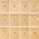 12 Twelve Constellation Golden Female Necklace Card Pack Clavicle Chain Jewelrypicture10