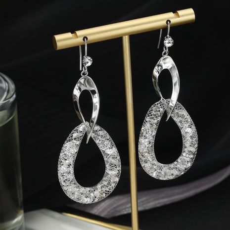Fashionable all-match hollow earrings's discount tags