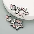 new alloy paint inlaid rhinestone exaggerated earringspicture15