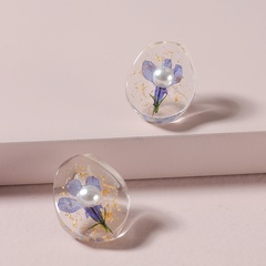 fashion transparent resin dried flower earrings