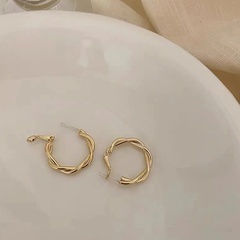 Twisted simple circle earrings