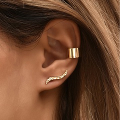 Modische trendige einfache Ohrringe