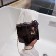 new fashion transparent portable box acrylic bagpicture35
