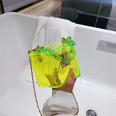 new fashion transparent portable box acrylic bagpicture36