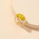 fashion dried flower ringpicture8