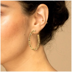 simple hoop exaggerated earrings