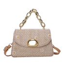 New straw woven fashion chain shoulder messenger bagpicture29