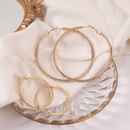 Fashion geometric big circle alloy earrings wholesalepicture11