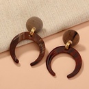fashion new style geometric exaggerated fashion acrylic earringspicture8