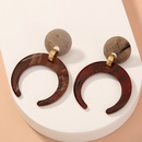 fashion new style geometric exaggerated fashion acrylic earringspicture12