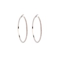Fashion geometric big circle alloy earrings wholesalepicture17