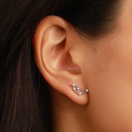 Korean zircon twelve constellation asymmetrical earrings's discount tags