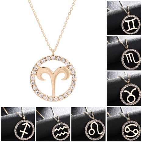 fashion rhinestone 12 constellation pendant necklace wholesale  NHAYN352831's discount tags
