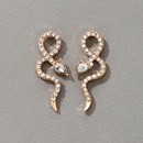 new baroque geometric exaggerated snakeshaped diamond earringspicture12