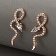 new baroque geometric exaggerated snakeshaped diamond earringspicture14