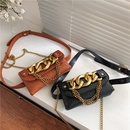 Fashion acrylic thick chain chest bagpicture16