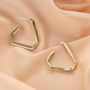 Fashion new simple style exaggerated earringspicture14