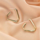 Fashion new simple style exaggerated earringspicture15