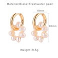 retro pearl precious stone element geometric earringspicture30