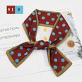 French fashion style new long tie hair silk scarf bow knot letter wave dot hair bandpicture67