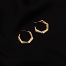 wholesale Korean irregular golden metal earringspicture8