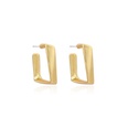 wholesale Korean irregular golden metal earringspicture13
