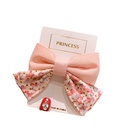 Childrens Bowknot korean Floral Hairpinpicture13