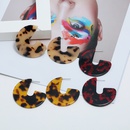 fashion leopard print acrylic geometric earringspicture11