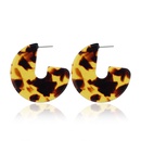 fashion leopard print acrylic geometric earringspicture14