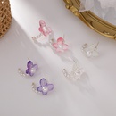 Korean style candy color transparent acrylic butterfly pearl earringspicture18