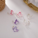 Korean style candy color transparent acrylic butterfly pearl earringspicture17